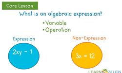 Understanding Algebraic Expressions Instructional Video