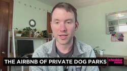 Startup Offers Private Alternative to Public Dog Parks for Shy Pups News Clip