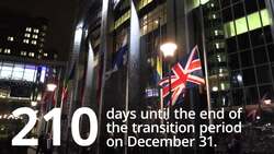 Brexit briefing: 210 days until the end of the transition period News Clip