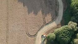 Combine harvester harvesting rapeseed, aerial Stock Footage