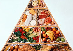 Balanced Diet - Nutrition Essentials Instructional Video