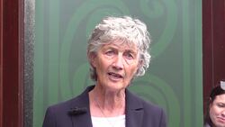 Presidential candidate Catherine Connolly speaking during a visit to the Falls Road in Belfast News Clip