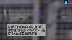 Contadini sommersi dai debiti, ma Internet li aiuta Instructional Video