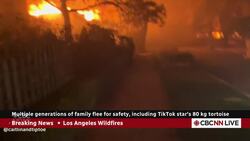 Multiple generations of family flee for safety, as L.A. wildfires destroyed their homes News Clip