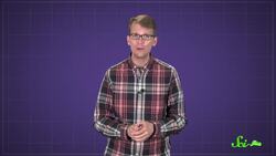 Why Don't Penguins' Feet Freeze? Instructional Video