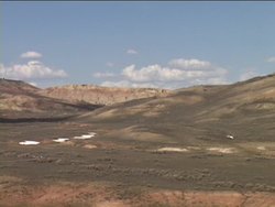 Exploring Grassland Biomes: Video Assessment Instructional Video