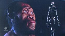 Fossils found in South African cave may change concept of evolution News Clip