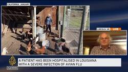 Low risk to the public from h5n1 virus: Expert News Clip