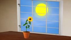 Science Kids: Biology Terms Instructional Video