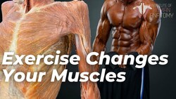 How Muscles Adapt: Understanding Slow and Fast Twitch Fibers Instructional Video