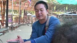 VOICED : Elephants in Thailand broken for lucrative animal tourism News Clip