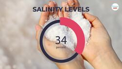 Why Is It Called "Dead" Sea? Why Does Everyone Float In This Sea? Instructional Video