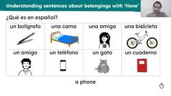 What someone else has: 'tiene' Instructional Video