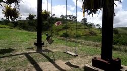 CLEAN : Images of giant vulva statue as it fuels gender debate in Brazil News Clip