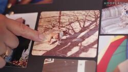 My Dog Saved My Life Thanks To The Mr. Mo Project Instructional Video