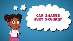 I WONDER - Can Snakes Hurt Skunks? Instructional Video