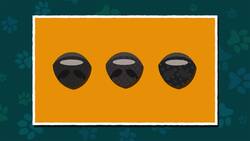 I WONDER - What Is Special About A Dogs Nose? Instructional Video