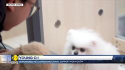 AI powered pets offer emotional support for youth News Clip