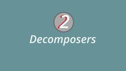 The Nitrogen Cycle Instructional Video