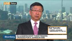 Former Japanese Ambassador to the U.K. on Trade Relations, U.K. Election, WTO News Clip