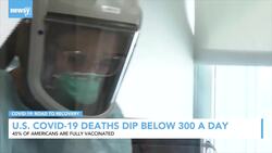 U.S. COVID-19 Deaths Dip Below 300 A Day News Clip