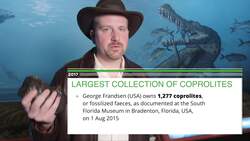 The World's Largest Collection of Copper Lights: Exploring the Fascinating World of Fossilized Poop Instructional Video