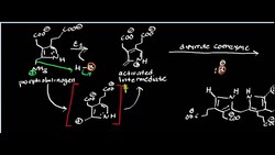 Porphobilinogen Deaminase: Physiology, Biochemistry, and Organic Mechanism Instructional Video