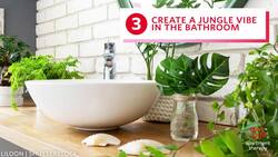 7 Ways To Display Plants Instructional Video