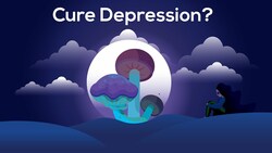 Can Magic Mushrooms Cure Depression? (Effects of Psilocybin on Your Brain) Instructional Video