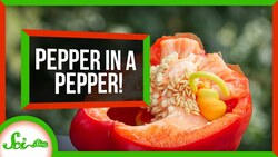 Why Is There Another Pepper Inside My Pepper? Instructional Video