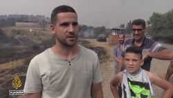 Wildfires in Algeria kill dozens, force hundreds to flee homes News Clip