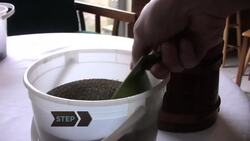 How to Make Seashell Crafts Instructional Video