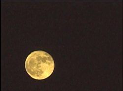 Late Scientific Revolution - Isaac Newton Instructional Video