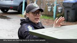 Why bears are feeling more at home near people News Clip
