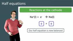 Understanding Half Equations in Electrochemistry Instructional Video
