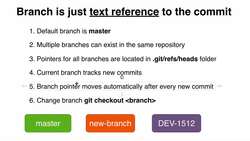 Complete Git Guide: Understand and Master Git and GitHub - What is Branch in Git? Instructional Video
