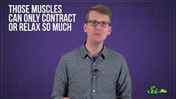 Do Glasses Ruin Your Eyesight? Instructional Video