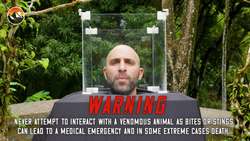 I Put My Head in a Box of SPIDERS! Instructional Video