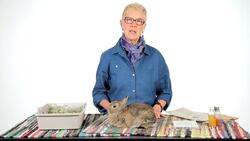 Is Your Pet Rabbit's Pee & Poop Normal? Instructional Video