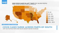 COVID-19 Cases Surge Across U.S., Delta Variant Behind Increase News Clip