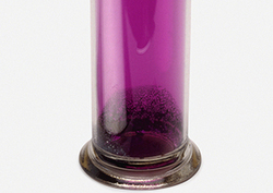 Los halógenos Instructional Video