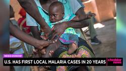 U.S. Confirms First Malaria Cases in 20 Years News Clip