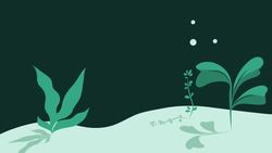 The Haber Process & Its Environmental Implications Instructional Video