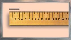 Making Metric Measurements Instructional Video