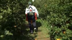 Japanese farmer assisted by wearable robot News Clip