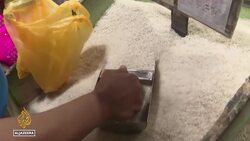 Scientists develop low-sugar, high-protein rice to combat diabetes and obesity in the Philippines News Clip