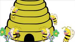 How to Get Rid Of Bees Instructional Video