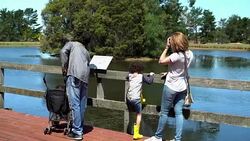 Family visited an organic farm Stock Footage