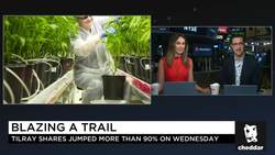 Why Cannabis Is Not Like the Dot-Com Bubble News Clip
