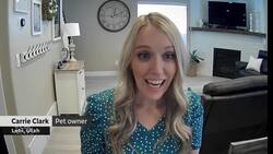 #TheMoment a cat mistakenly sent to Amazon was returned to its owners News Clip